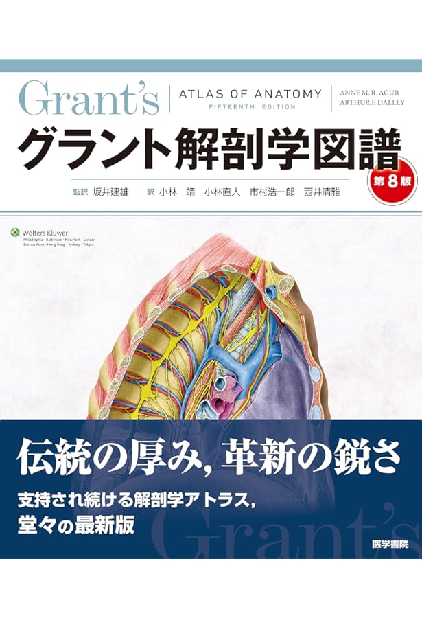 実習人体解剖図譜 実習人体解剖図譜(浦良治) / 株式会社 wit tech / 古本、中古本、古